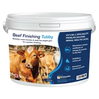 Brinicombe Beef Finishing Tubby 22kg