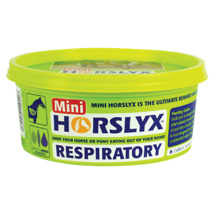 Horslyx Respiratory Mini Vit & Mineral Lick 650g